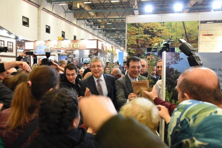 Başkanlar Zeytin Fidanı Dağıttılar