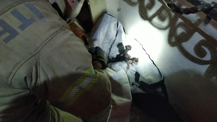 Yangında Mahsur Kalan Kedi Yavrularını Önce Kurtardı Sonra Elleriyle Yıkadı