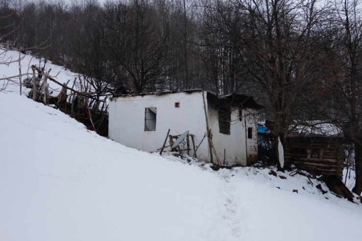 Ordu’da Yangın: 1 Ev Kül Oldu