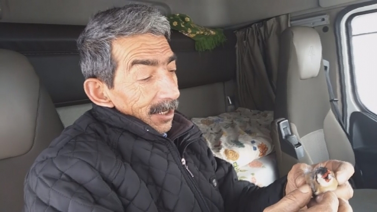 Kuş Donarak Ölse De Yaptığı Hareket Yürekleri Isıttı