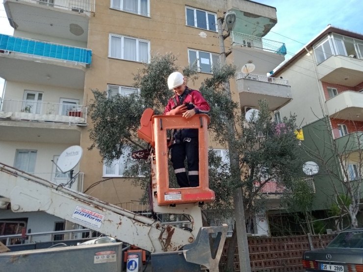 Bursa’da Kedi Kurtarma Operasyonu