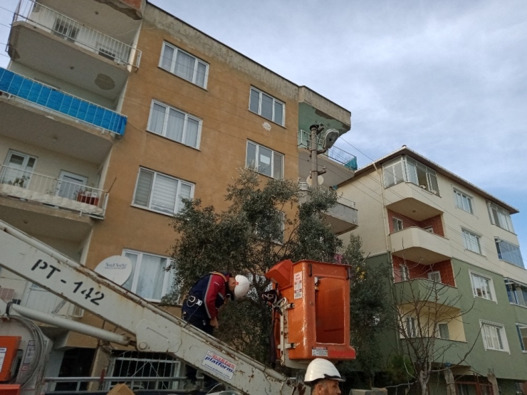 Bursa’da Kedi Kurtarma Operasyonu