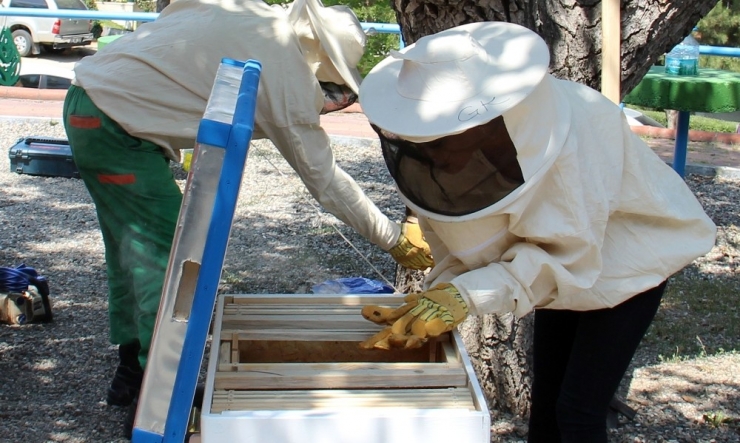 Kent Tarım’da Ücretsiz Eğitim Fırsatı
