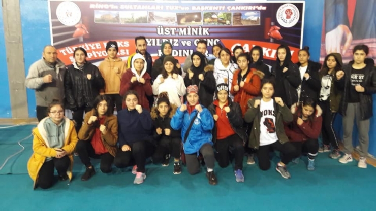 Vanlı Boksörlerden Büyük Başarı