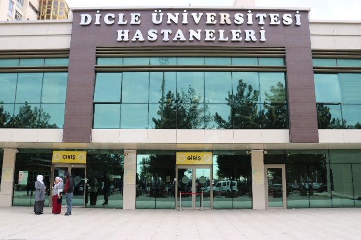 Diyarbakır’da Domuz Gribinden Bir Kişi Hayatını Kaybetti