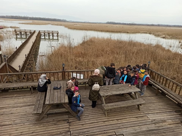 Çocuklar Efteni Gölü’nde Kuşları İzledi