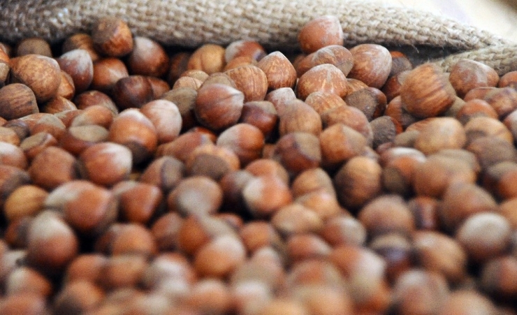 Tmo’nun Elindeki Fındıklar Tartışması