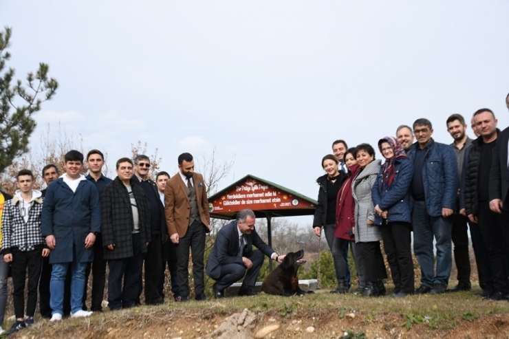 İnegöl’de Hayvanlar Sahipsiz Değil