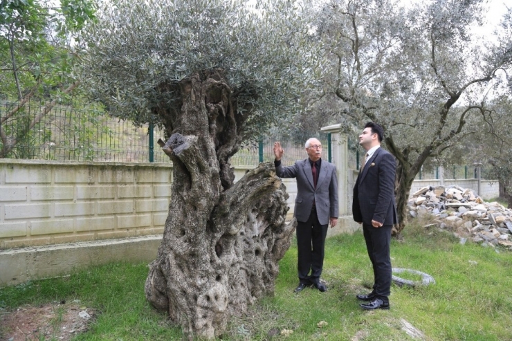Başsavcı Yapar’dan Başkan Atıcı’ya İade-i Ziyaret