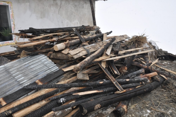 Bulanık’ta Ahır Yandı: 9 Hayvan Telef Oldu