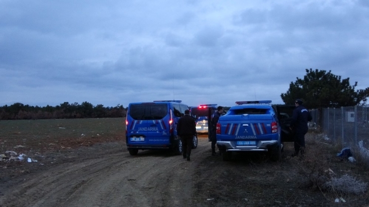 Banaz’da Çöplükte 21 Köpek Ölü Bulundu