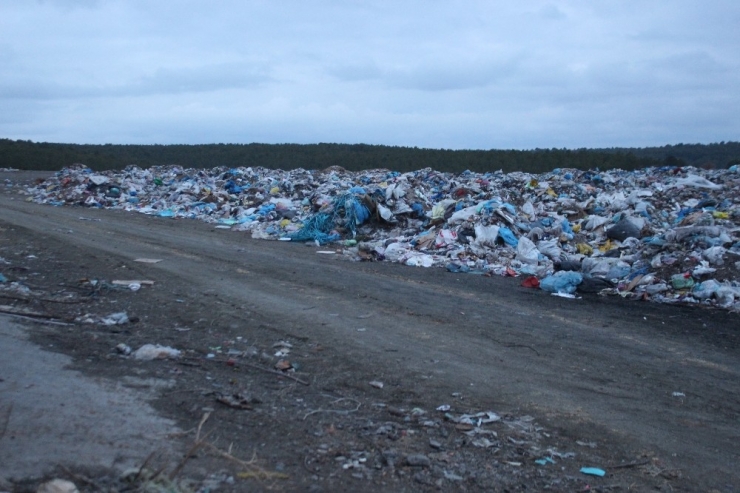 Banaz’da Çöplükte 21 Köpek Ölü Bulundu