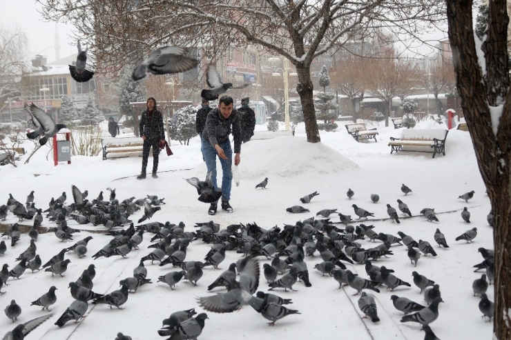 Kuşların Yem Mücadelesi Görsel Şölen Oluşturdu