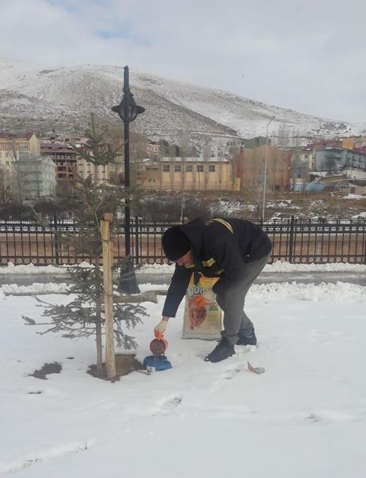 Aşırı Soğuklarının Yaşandığı Bayburt’ta Belediye Ekipleri Hayvanların Yaşam Umudu Oldu