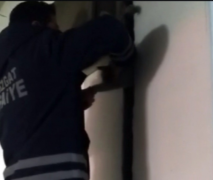 Yozgat’ta Trafoya Sıkışan Kedi İtfaiye Ekiplerince Kurtarıldı