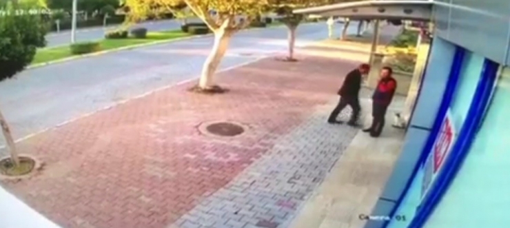 Mama Bırakılmasına Tepki Gösterip Kedileri Tekmeledi