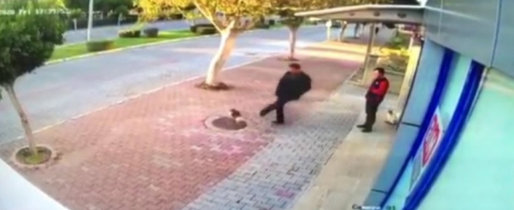 Mama Bırakılmasına Tepki Gösterip Kedileri Tekmeledi