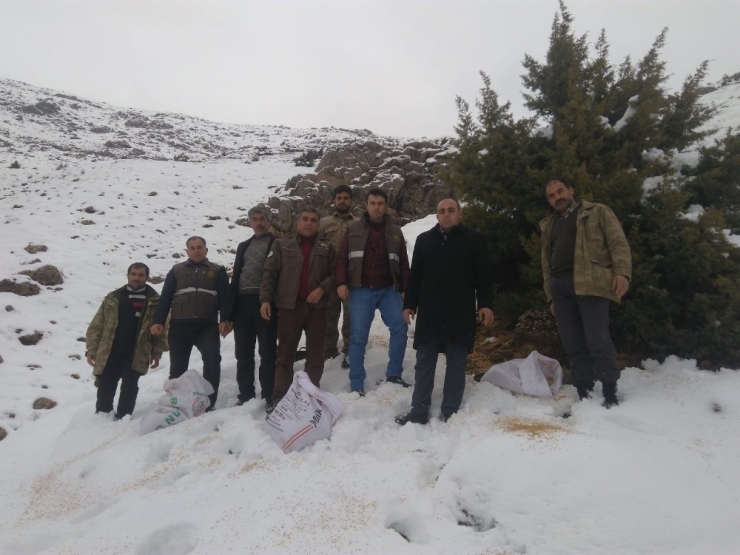 Şehit Yakınları, Yaban Hayvanları İçin Doğaya Yem Bıraktı