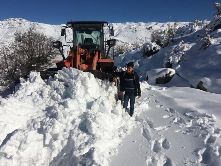 Batman’da Karla Mücadele Çalışmaları Devam Ediyor