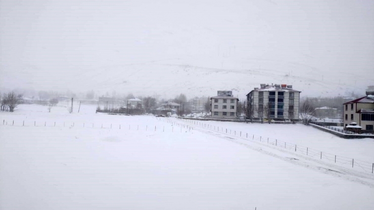 Karlıova’da Yoğun Kar Nedeniyle Okullar Tatil Edildi
