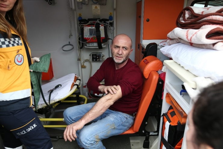 Tır Kaygan Yolda Zeytinliğe Uçtu