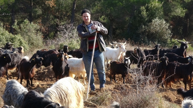 Okulu 5. Sınıfta Bıraktı, Çobanlık Yaparak Kitabını Çıkardı