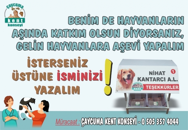 Sokak Hayvanları İçin Aşevleri Yapıldı