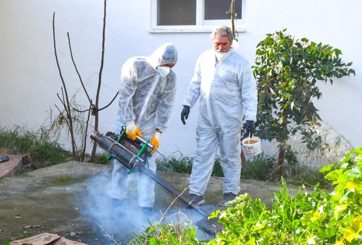 İlaçlama Ekibinden Yoğun Mesai