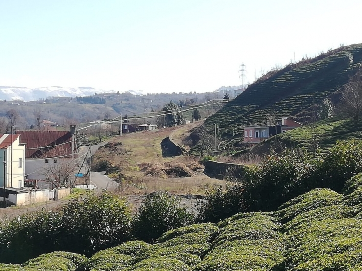 Eynesil-ören Beldesi Arasındaki Yeni Yol İnşaatı Mahkeme Kararıyla Durduruldu