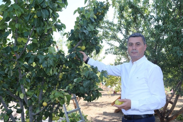 Gölbaşı Kent Çiftliği Projesi Hayata Geçiyor