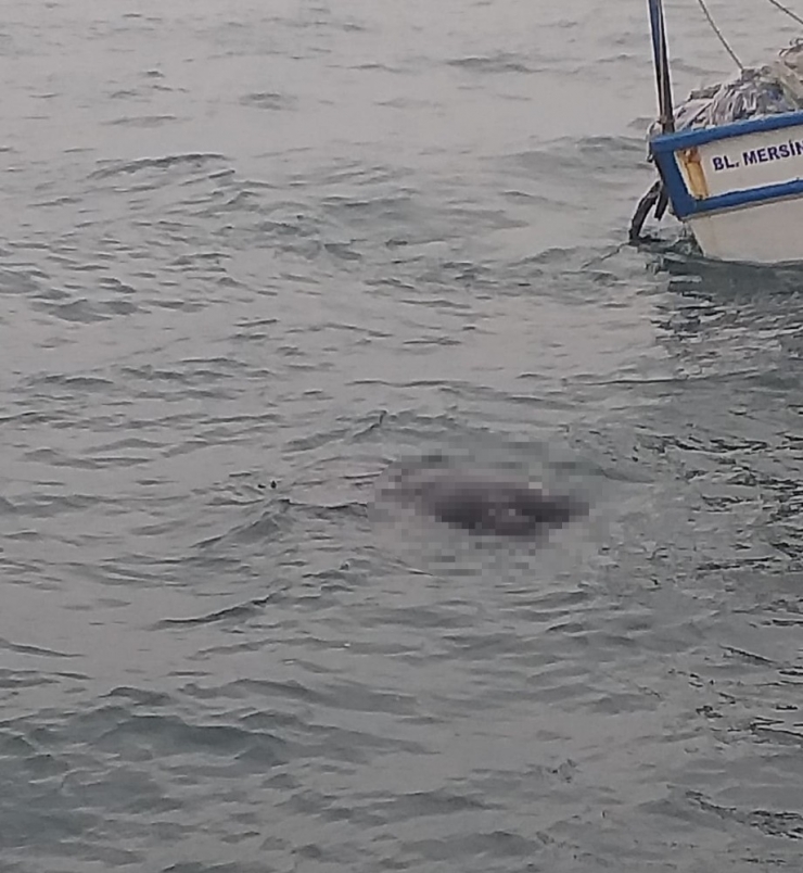 Mersin’de Denizde 2 Ceset Bulundu