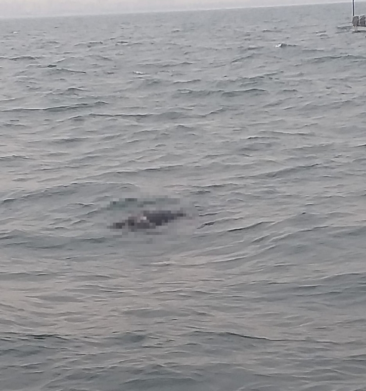 Mersin’de Denizde 2 Ceset Bulundu