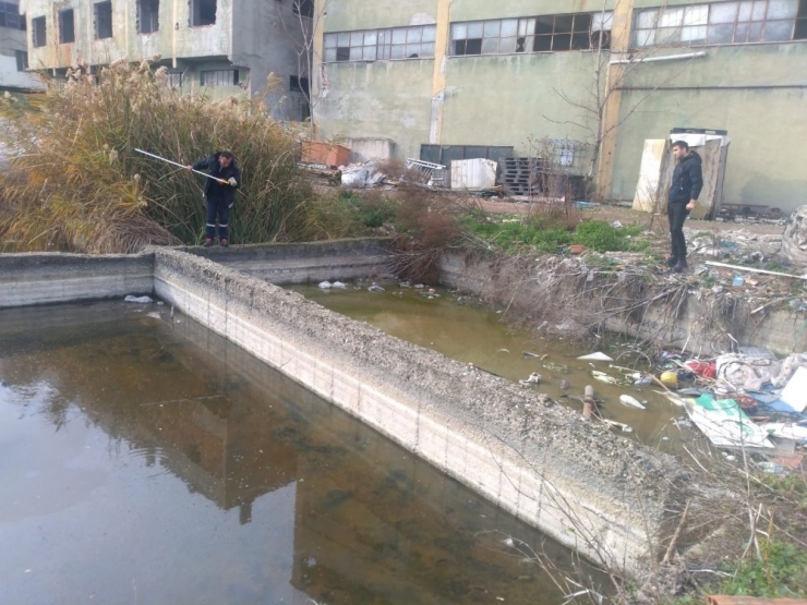 Mustafakemalpaşa’da Haşereyle Mücadele Sürüyor