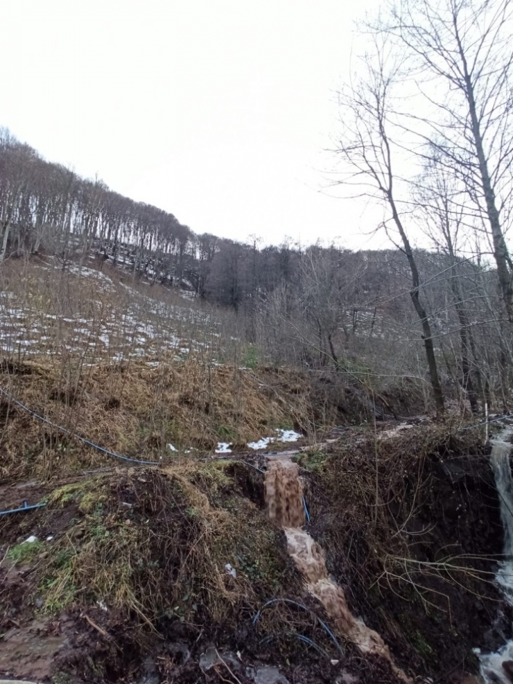 Ordu’da Heyelan: 12 Konut Tahliye Edildi