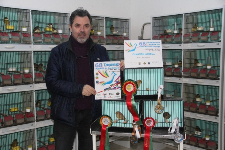 Bu Doktor Şampiyon Kanaryalar Yetiştiriyor