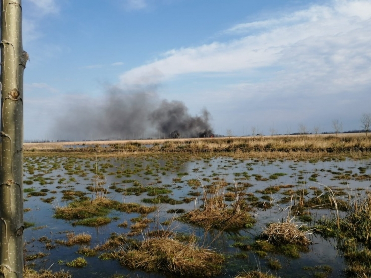 Simenit Gölü’nde Yangın: Çok Sayıda Hayvan Telef Oldu