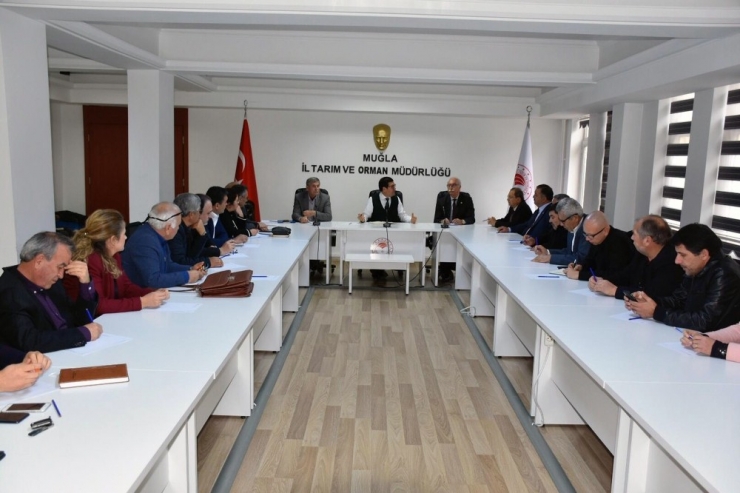 Muğla Tarımı Masaya Yatırıldı