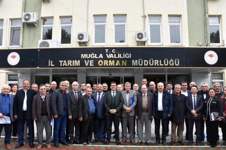 Muğla Tarımı Masaya Yatırıldı