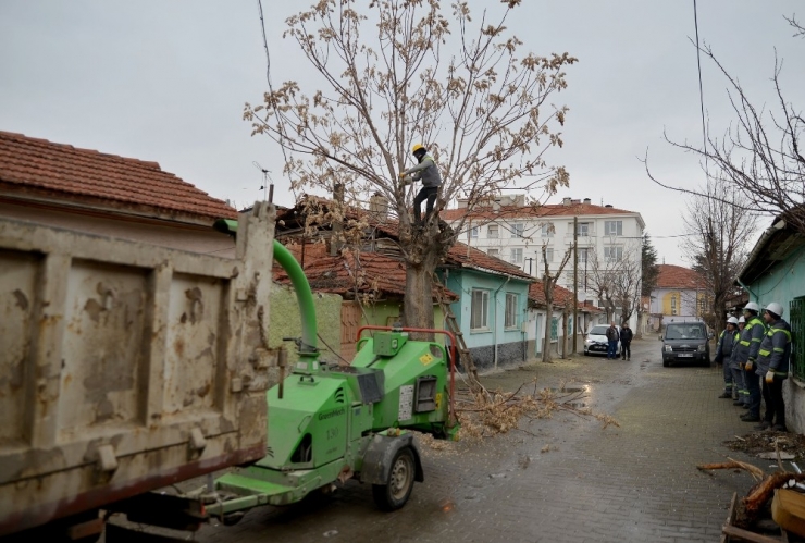 Tepebaşı’nda Ağaçlar Budanıyor