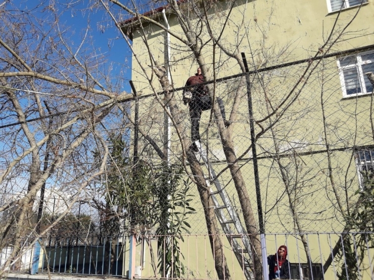 Akçakoca’da Yol Ve Parklarda Çalışmalar Aralıksız Devam Ediyor