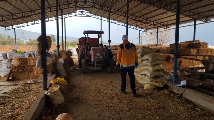 Yem Makinesinin Şaftına Kapılan Çocuk Öldü