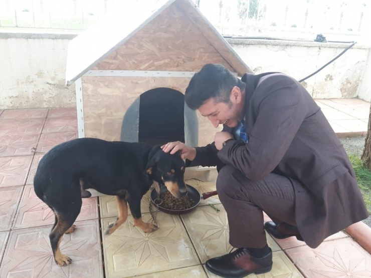Kaymakam Yalçın, Yaralı Köpeği Sahiplendi