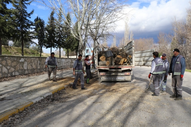 10 Metrelik Kavak Ağacı Minibüsün Üzerine Devrildi
