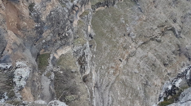 Kayalıklarda Mahsur Kalan Keçileri Afad Ekipleri Kurtardı
