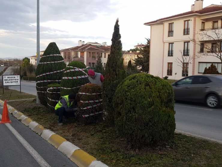 Bahçeşehir’de Bitkiler Koruma Altına Alındı