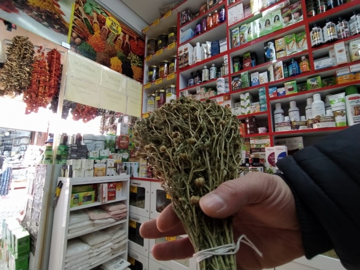 Rahat Uyumak İçin Üzerlik İçti Komaya Girdi