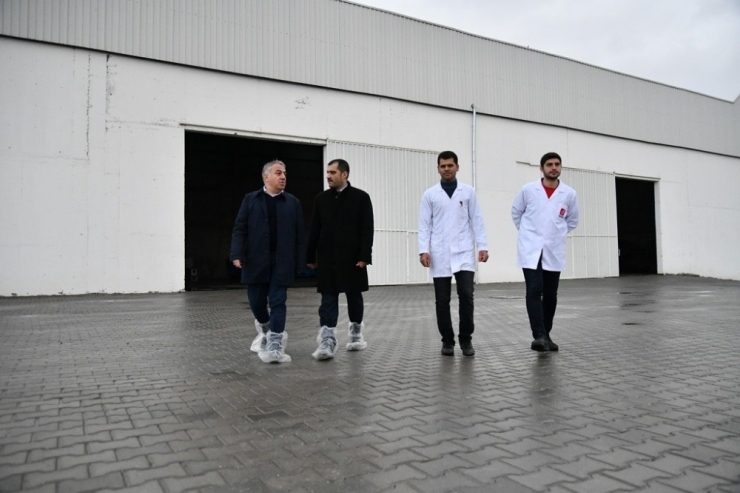 Şahin, Tarım Ve Hayvancılık Sektörünün Öncü Firmalarını Ziyaret Etti