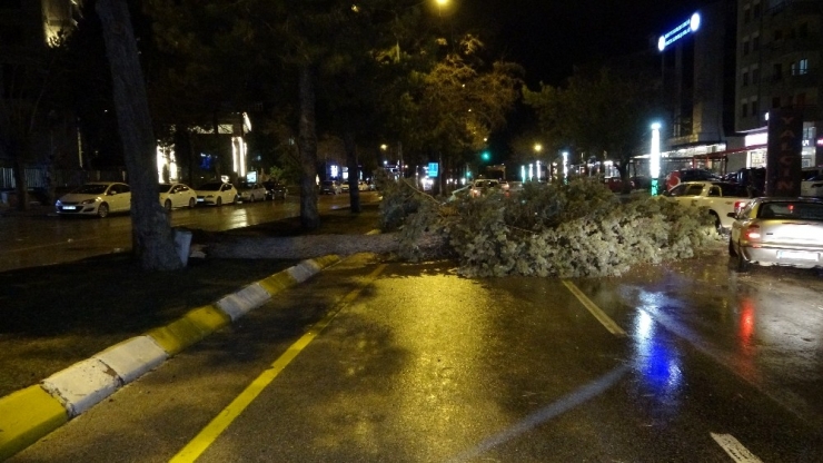 Isparta’da Fırtına Ağaçları, Durak Ve Panoları Devirdi