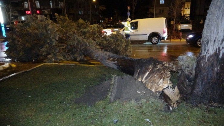 Isparta’da Fırtına Ağaçları, Durak Ve Panoları Devirdi