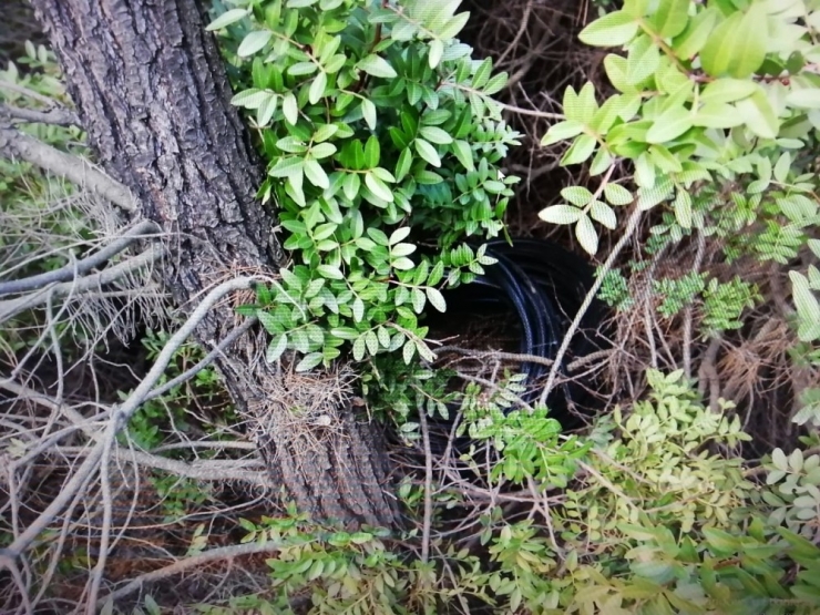 İzmir’de 11 Bin Liralık Kabloyu Çalan Şahıslar Yakalandı